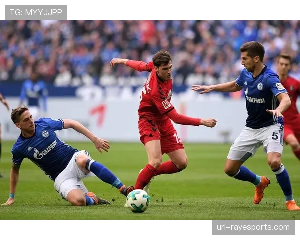 法兰克福vs弗赖堡:两队中游对决,欧战资格争夺关键战 法兰克福vs弗赖堡:两队中游对决,欧战资格争夺关键战